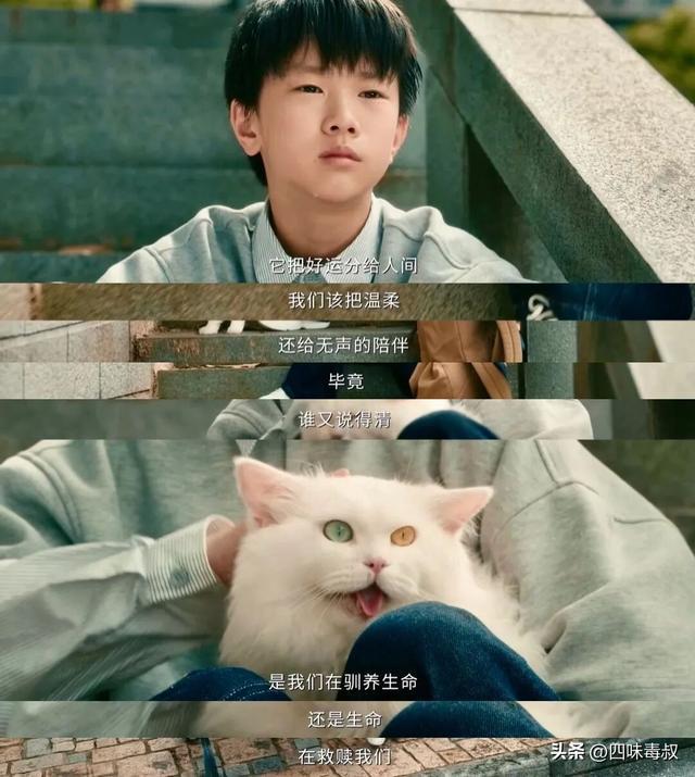 十年沉寂后，它依然稳坐巅峰地位？  第9张