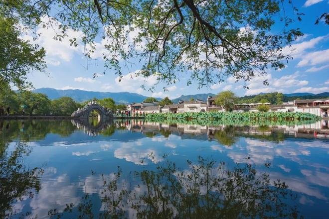 杨紫新剧家业取景地曝光，中式美学惊艳不输开封洛阳