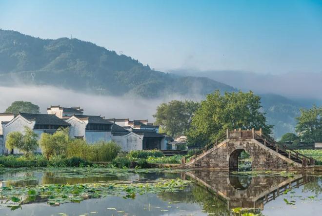 杨紫新剧家业取景地曝光，中式美学惊艳不输开封洛阳  第10张