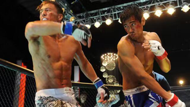 综合格斗电影TOP10：影史最强MMA题材佳作盘点  第2张