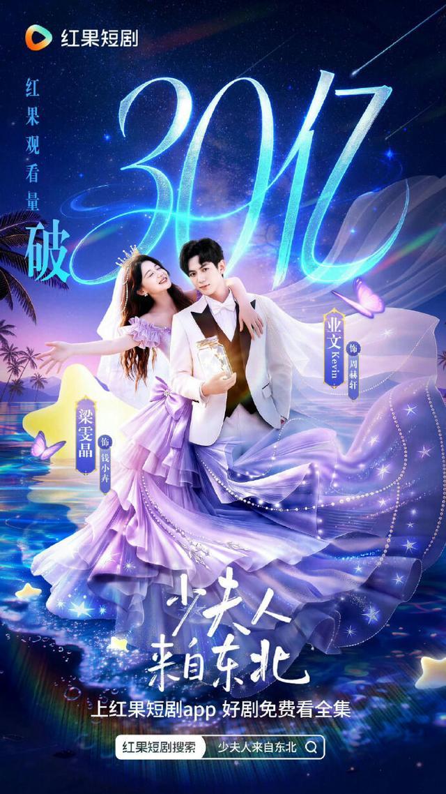 东北少夫人续集爆火，港星助阵再创亿级播放量  第2张