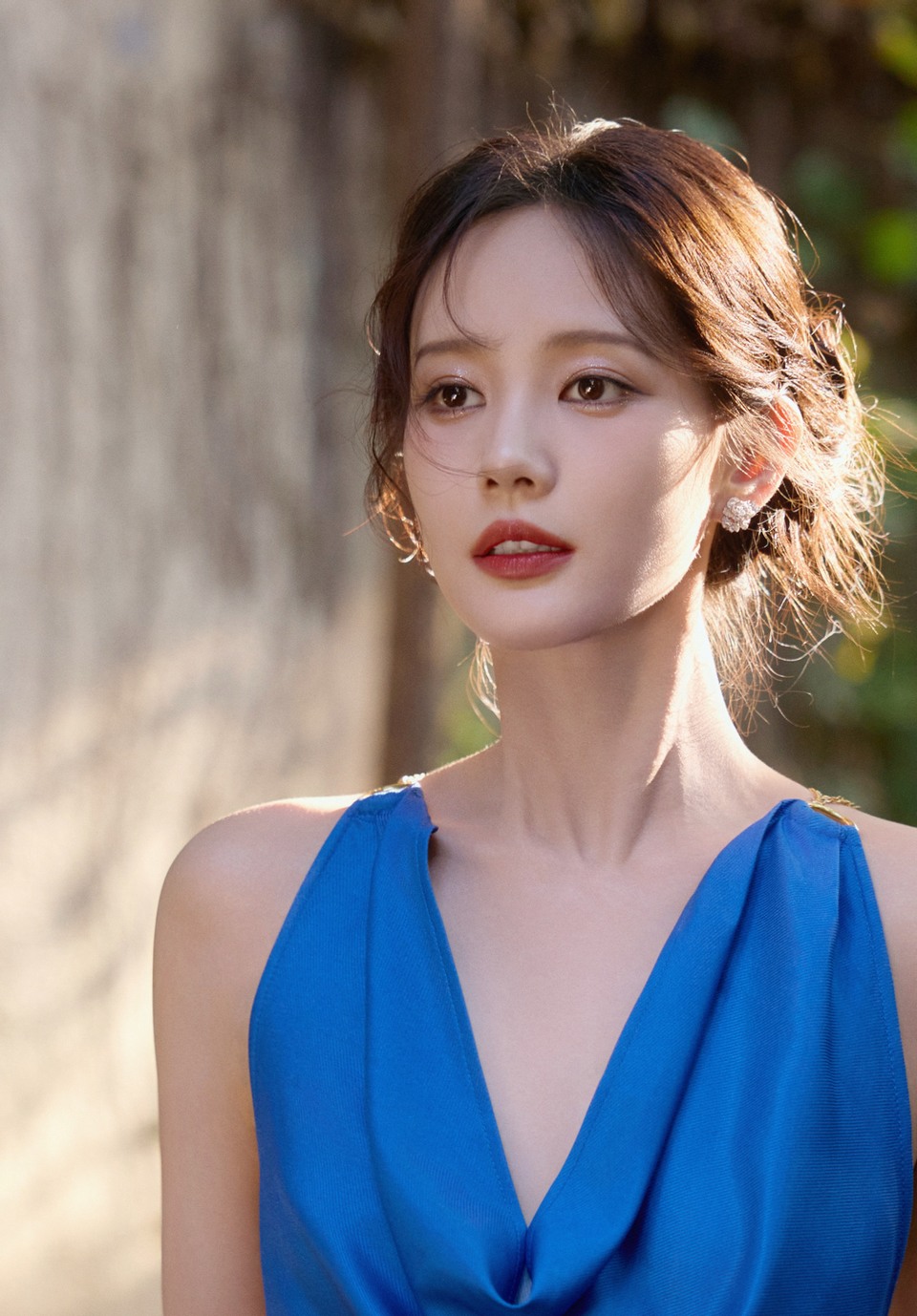 李一桐冰蓝百合盛放 与阳光共舞邂逅一只蓝色蝴蝶  第8张