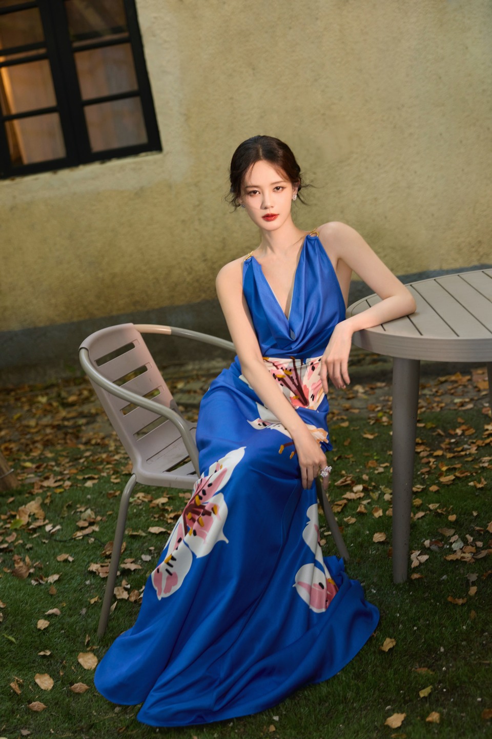 李一桐冰蓝百合盛放 与阳光共舞邂逅一只蓝色蝴蝶  第3张