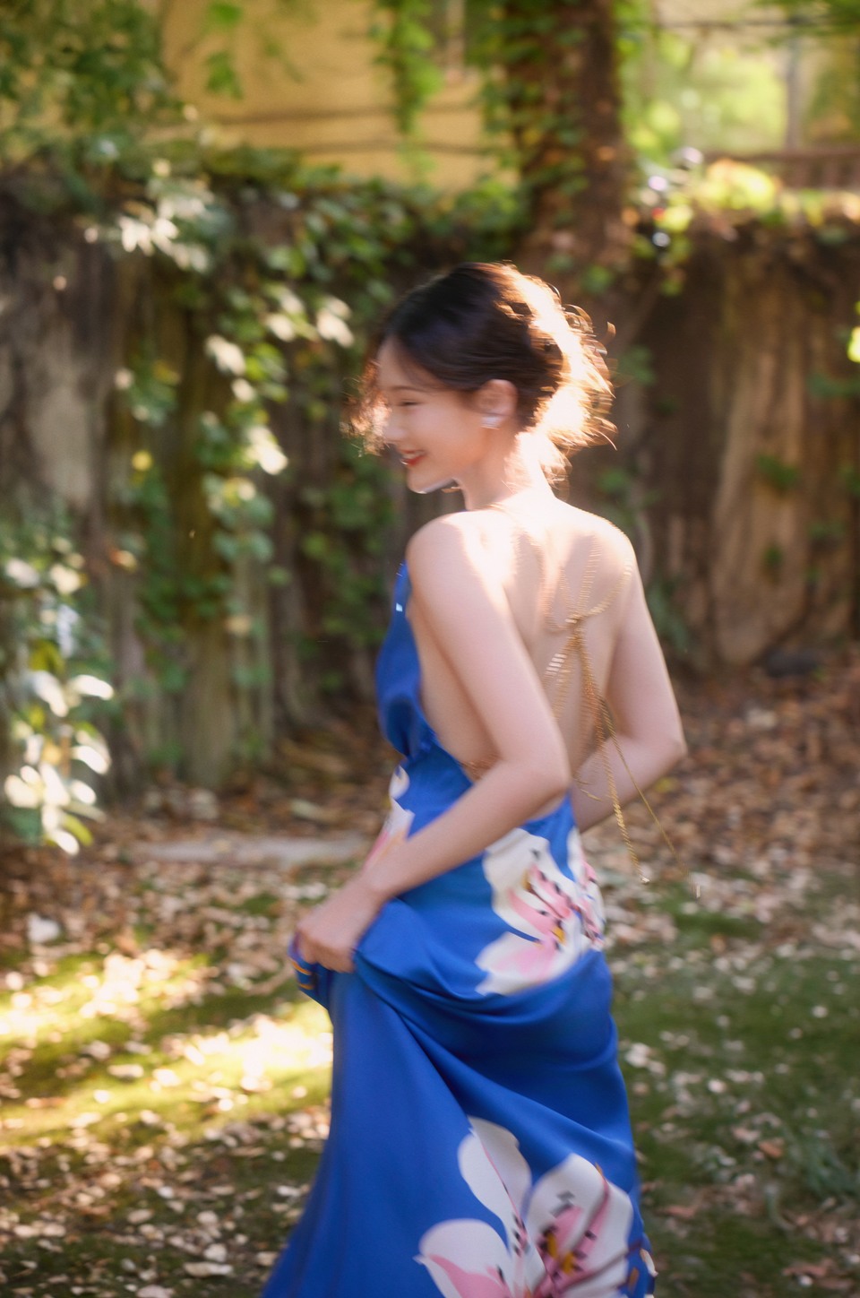 李一桐冰蓝百合盛放 与阳光共舞邂逅一只蓝色蝴蝶  第7张