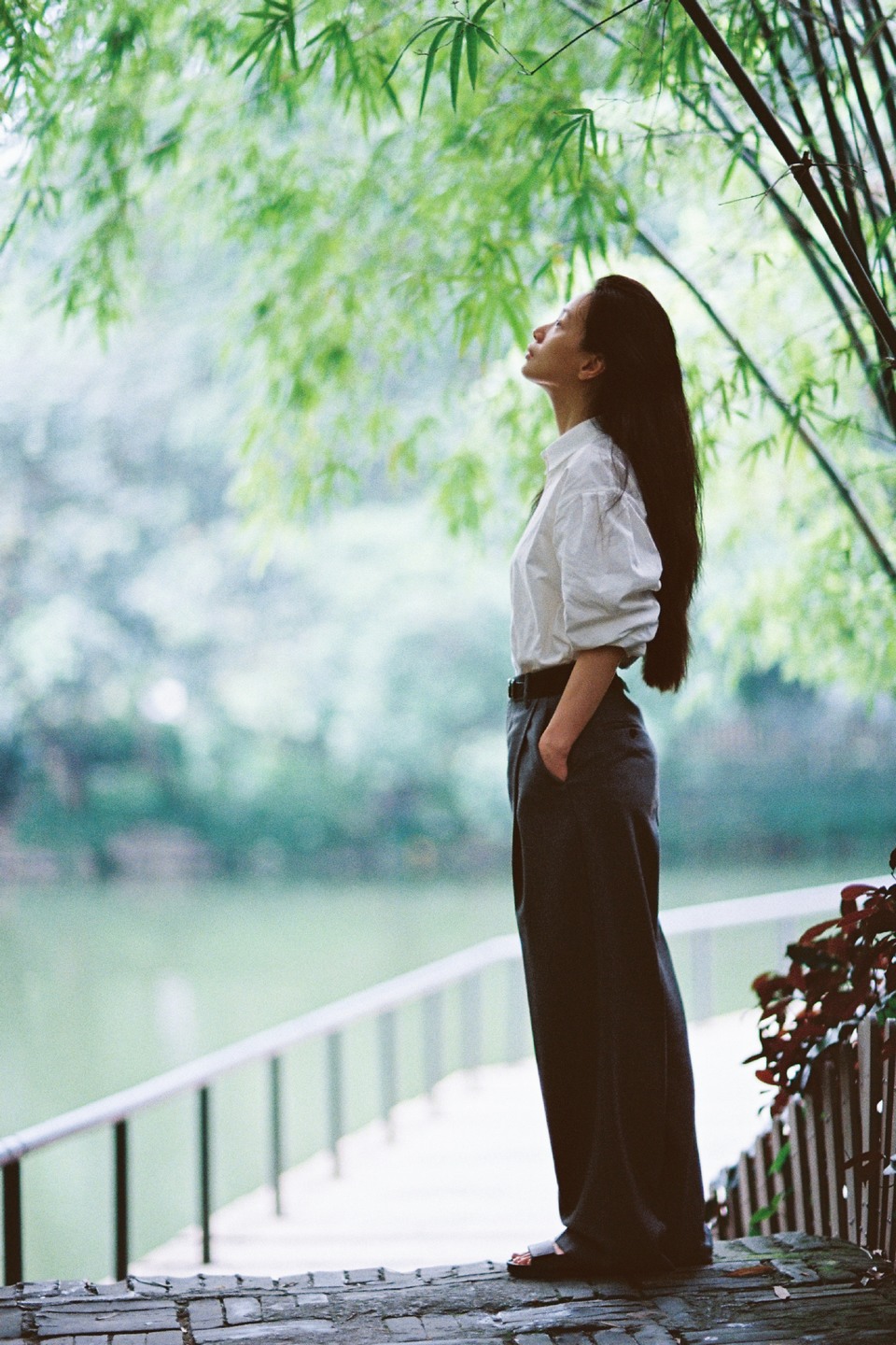 李梦在喧嚣未及的缱绻绿意里 与「梦」对谈  第8张