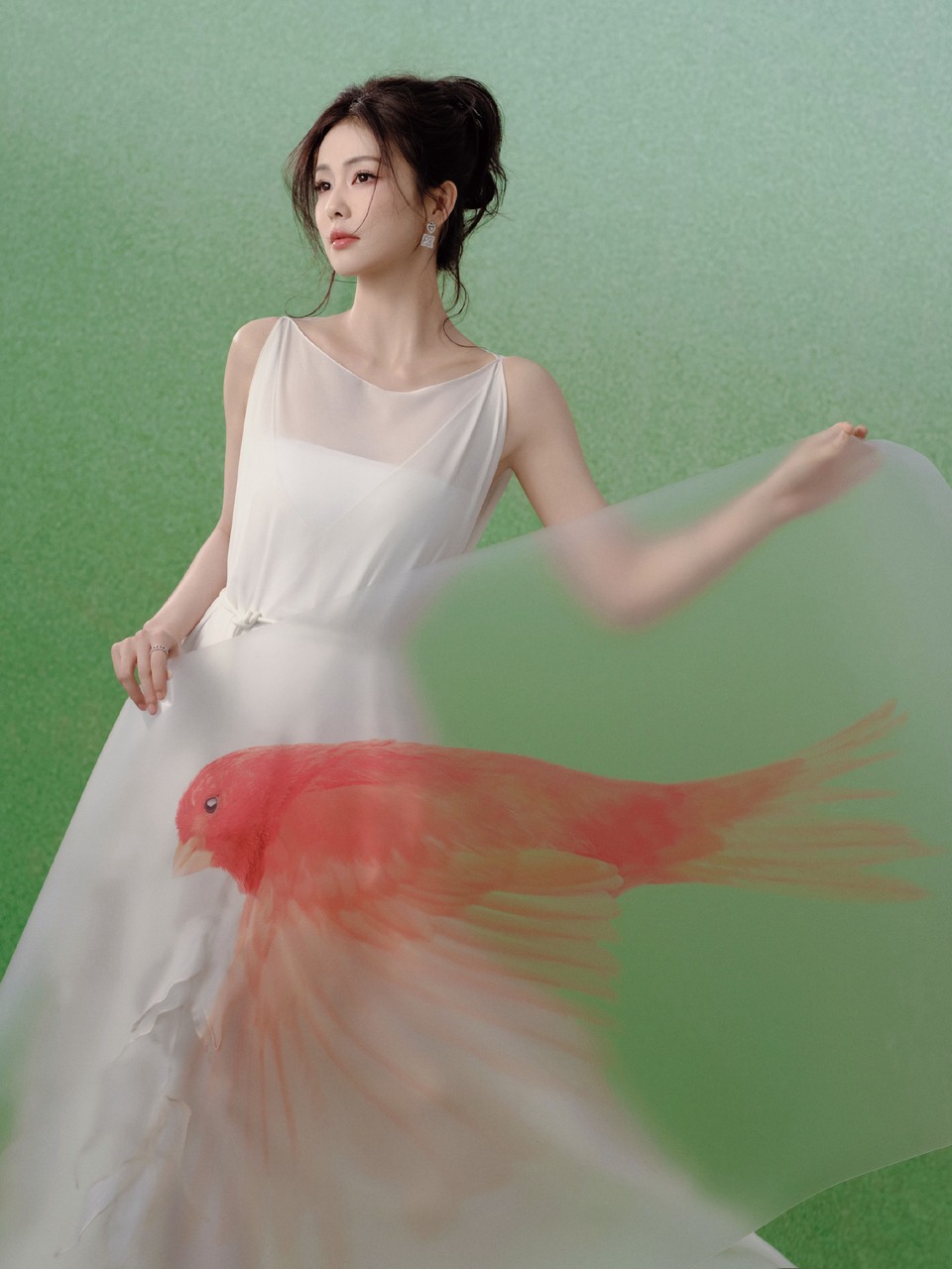 白鹿春裁雅韵步步焕新 微风轻奏序曲晕染盎然春意  第1张