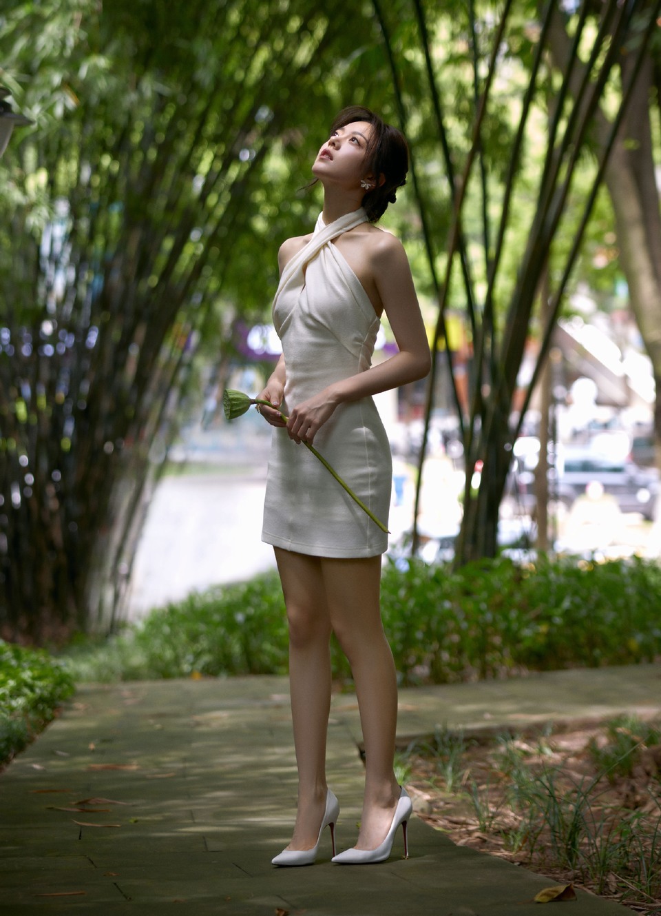 赵今麦竹意新韵夏意弥深 水积荷塘饮茶躲清闲