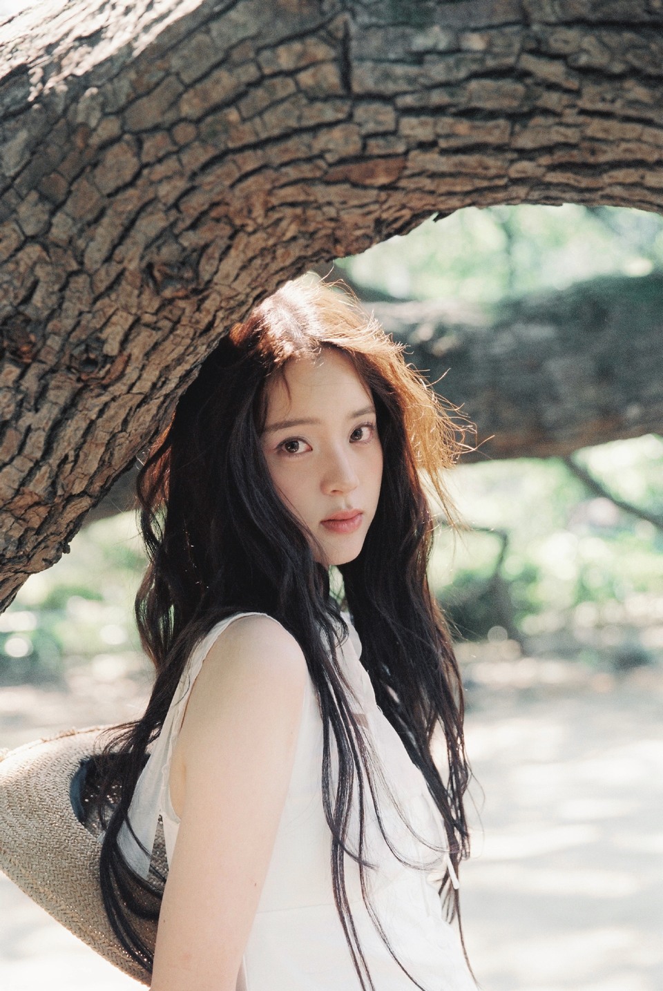 欧阳娜娜定格此刻美好 林间光斑是天然的滤镜  第10张