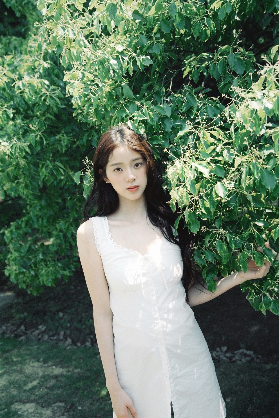 欧阳娜娜定格此刻美好 林间光斑是天然的滤镜  第9张
