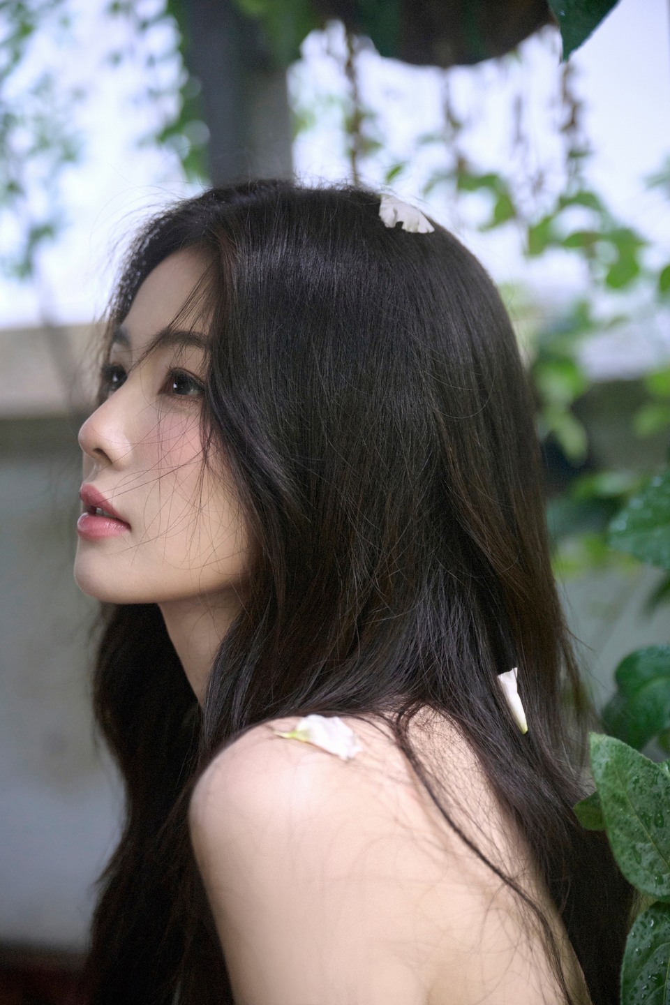 白鹿微风轻扬馥郁生姿 勾勒一抹碎光蹁跹的灵动  第3张